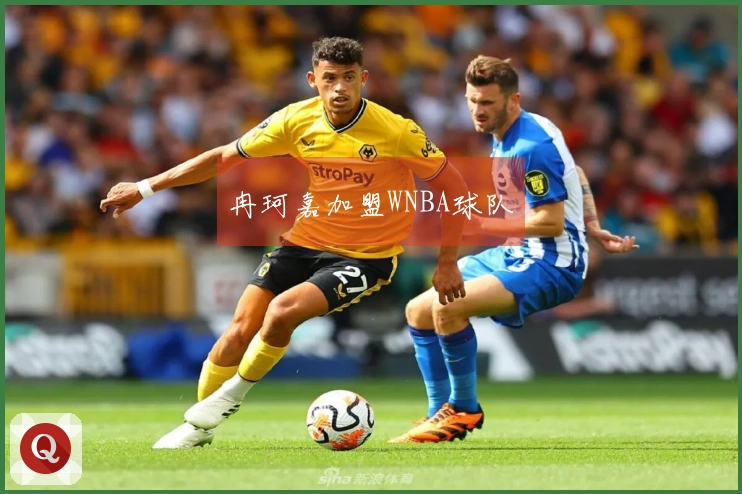 冉珂嘉加盟WNBA球队