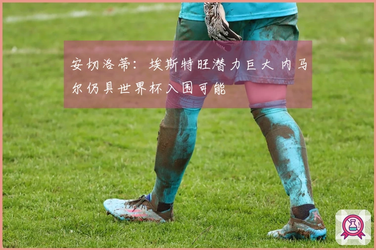 安切洛蒂：埃斯特旺潜力巨大 内马尔仍具世界杯入围可能