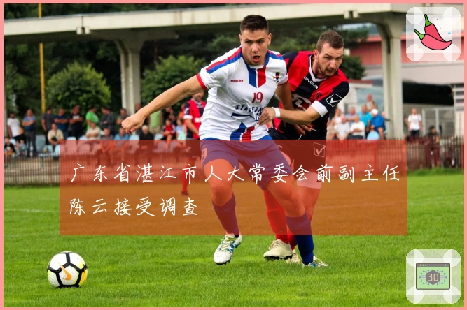广东省湛江市人大常委会前副主任陈云接受调查