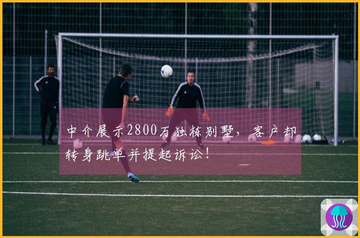 中介展示2800万独栋别墅，客户却转身跳单并提起诉讼！