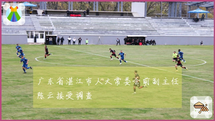 广东省湛江市人大常委会前副主任陈云接受调查